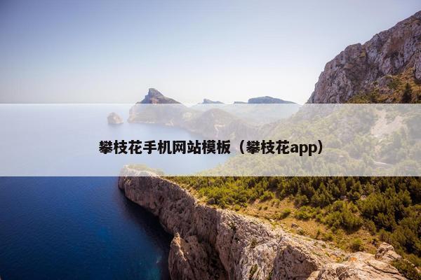 攀枝花手机网站模板（攀枝花app）