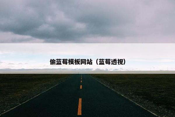 偷蓝莓模板网站（蓝莓透视）