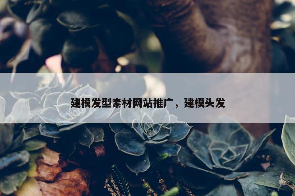 建模发型素材网站推广，建模头发