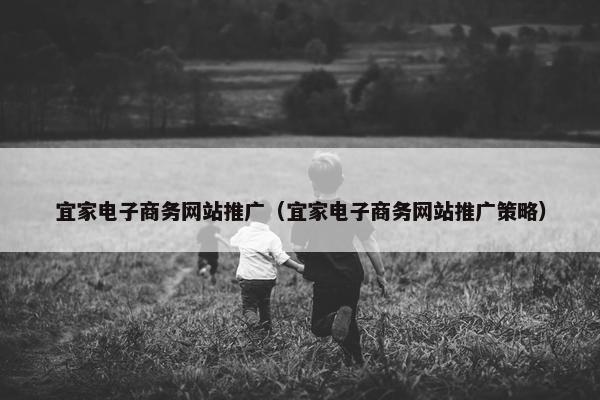 宜家电子商务网站推广（宜家电子商务网站推广策略）
