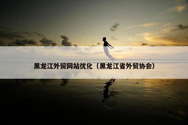 黑龙江外贸网站优化（黑龙江省外贸协会）