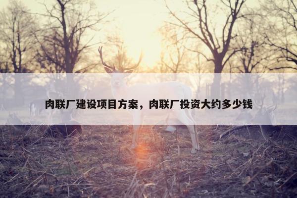 肉联厂建设项目方案，肉联厂投资大约多少钱