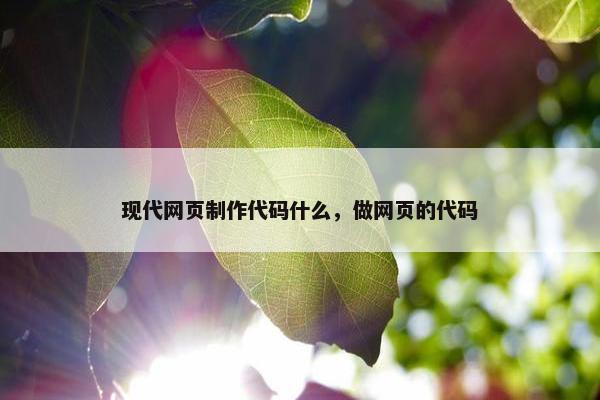 现代网页制作代码什么，做网页的代码