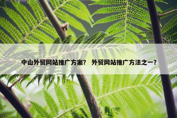 中山外贸网站推广方案？ 外贸网站推广方法之一？
