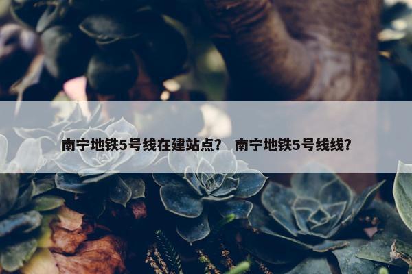 南宁地铁5号线在建站点？ 南宁地铁5号线线？
