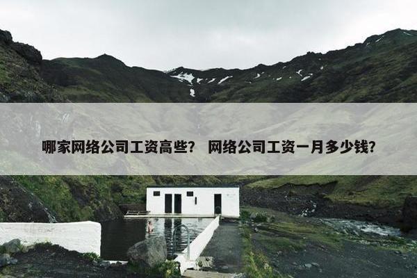 哪家网络公司工资高些？ 网络公司工资一月多少钱？