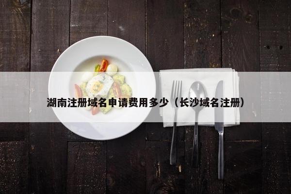 湖南注册域名申请费用多少（长沙域名注册）
