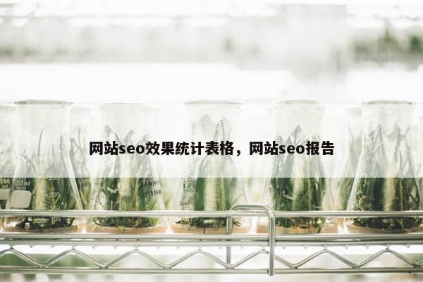网站seo效果统计表格，网站seo报告