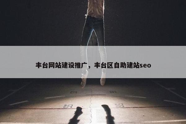 丰台网站建设推广，丰台区自助建站seo