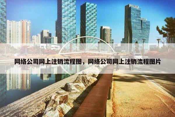 网络公司网上注销流程图，网络公司网上注销流程图片