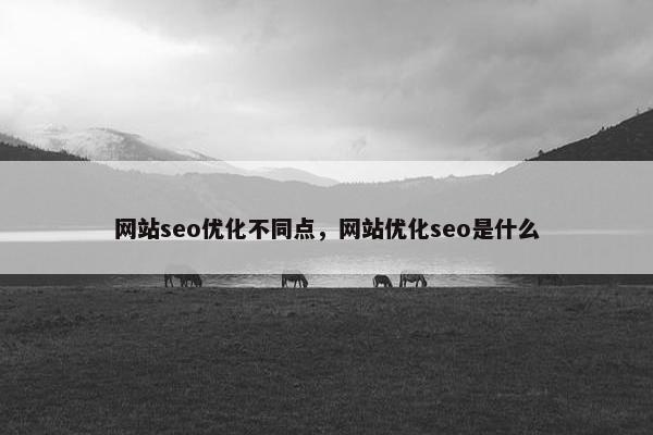 网站seo优化不同点，网站优化seo是什么