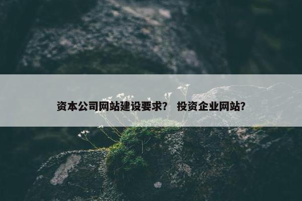 资本公司网站建设要求？ 投资企业网站？