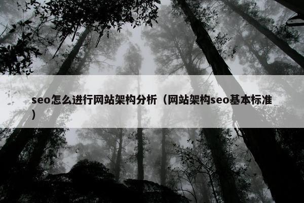 seo怎么进行网站架构分析（网站架构seo基本标准）