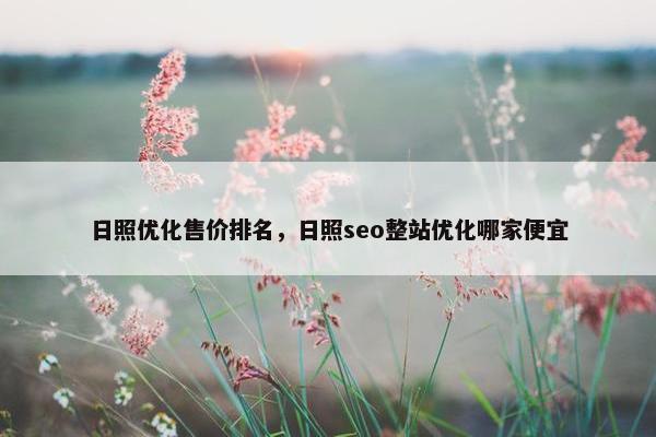 日照优化售价排名，日照seo整站优化哪家便宜