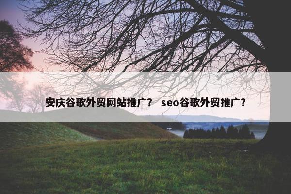 安庆谷歌外贸网站推广？ seo谷歌外贸推广？