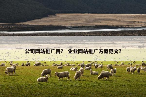 公司网站推广目？ 企业网站推广方案范文？