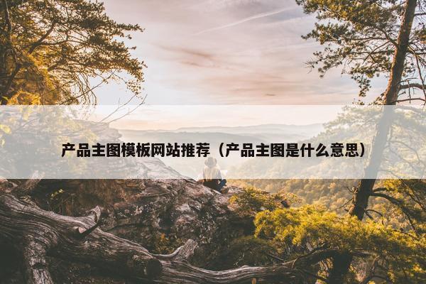 产品主图模板网站推荐（产品主图是什么意思）
