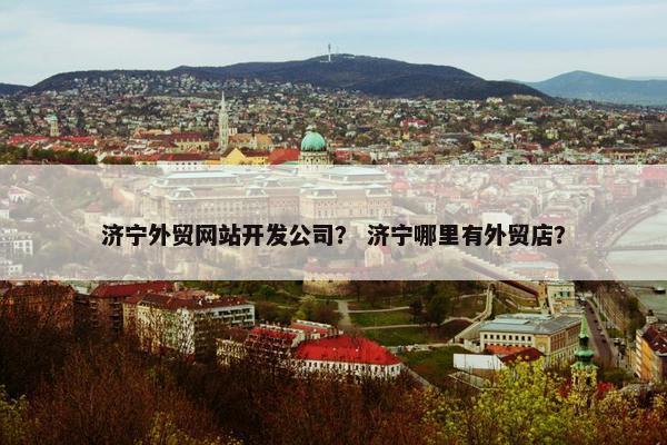 济宁外贸网站开发公司？ 济宁哪里有外贸店？