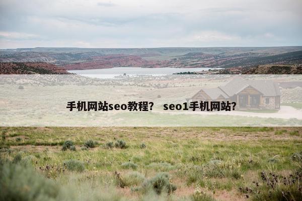 手机网站seo教程？ seo1手机网站？
