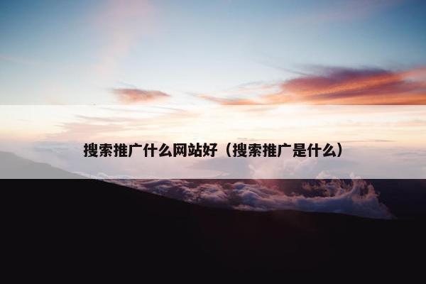 搜索推广什么网站好（搜索推广是什么）