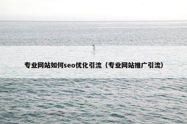 专业网站如何seo优化引流（专业网站推广引流）