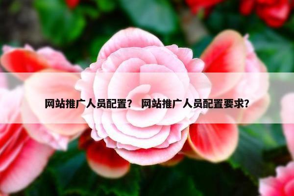 网站推广人员配置？ 网站推广人员配置要求？