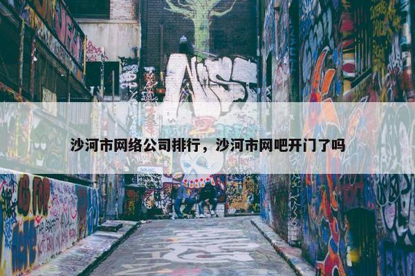 沙河市网络公司排行，沙河市网吧开门了吗
