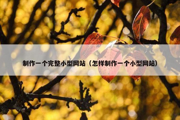 制作一个完整小型网站（怎样制作一个小型网站）