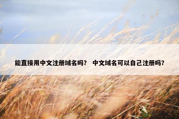 能直接用中文注册域名吗？ 中文域名可以自己注册吗？