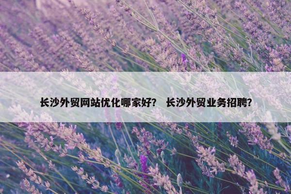 长沙外贸网站优化哪家好？ 长沙外贸业务招聘？