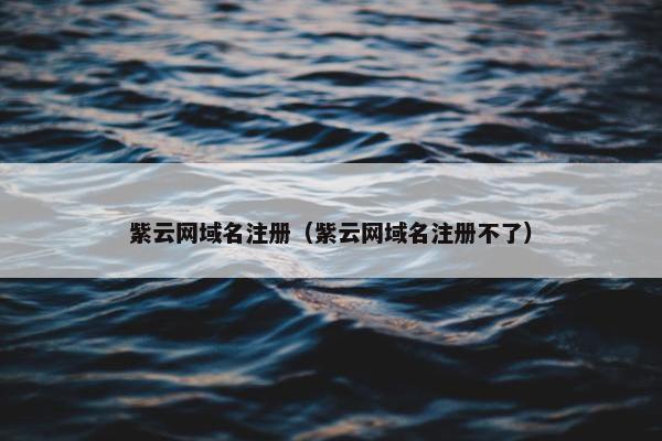 紫云网域名注册（紫云网域名注册不了）