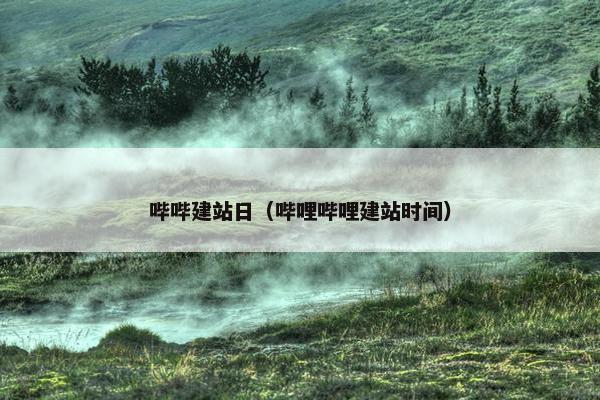 哔哔建站日（哔哩哔哩建站时间）