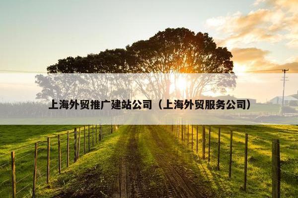 上海外贸推广建站公司（上海外贸服务公司）