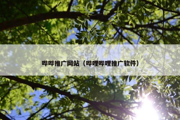 哔哔推广网站（哔哩哔哩推广软件）