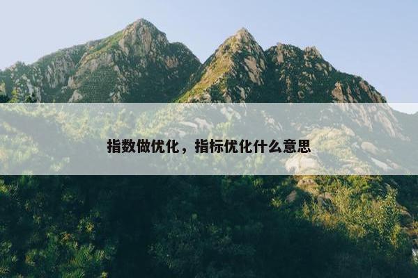 指数做优化，指标优化什么意思