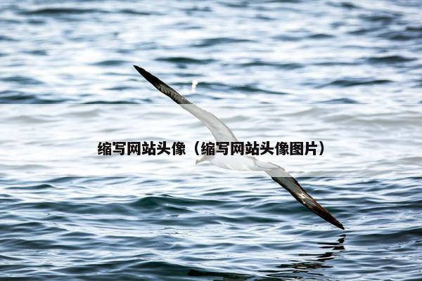 缩写网站头像（缩写网站头像图片）