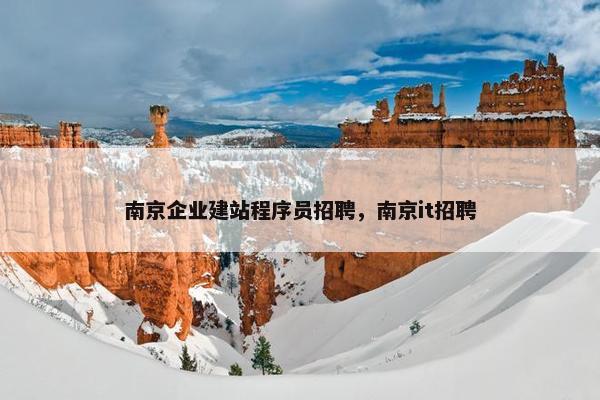 南京企业建站程序员招聘，南京it招聘