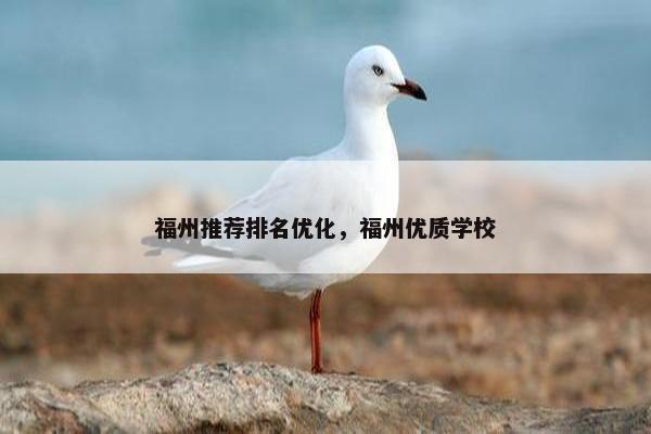 福州推荐排名优化，福州优质学校
