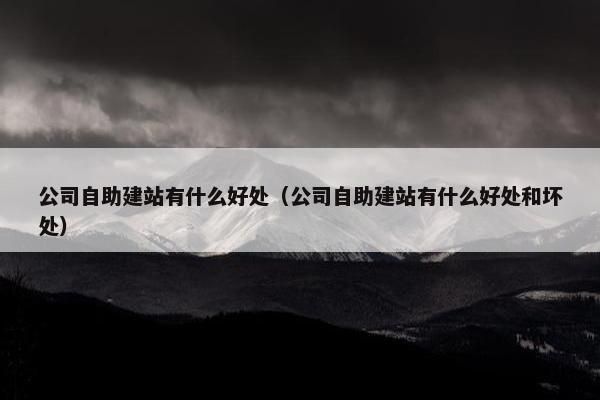 公司自助建站有什么好处（公司自助建站有什么好处和坏处）
