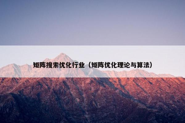 矩阵搜索优化行业（矩阵优化理论与算法）