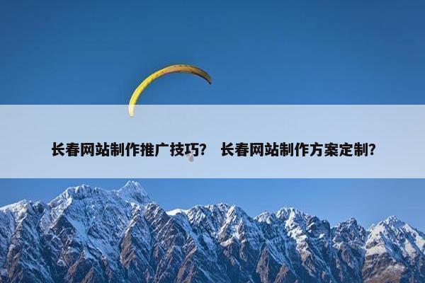 长春网站制作推广技巧？ 长春网站制作方案定制？