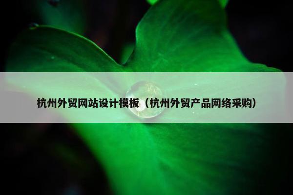 杭州外贸网站设计模板（杭州外贸产品网络采购）