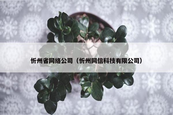 忻州省网络公司（忻州网信科技有限公司）