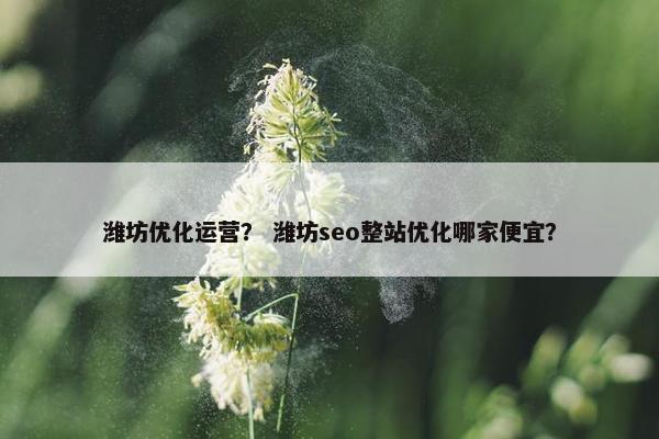 潍坊优化运营？ 潍坊seo整站优化哪家便宜？