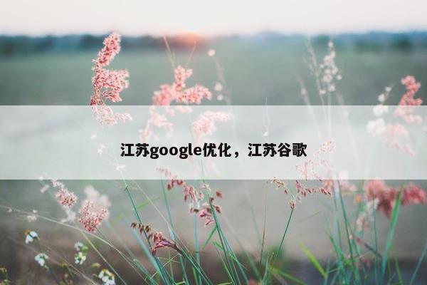 江苏google优化，江苏谷歌