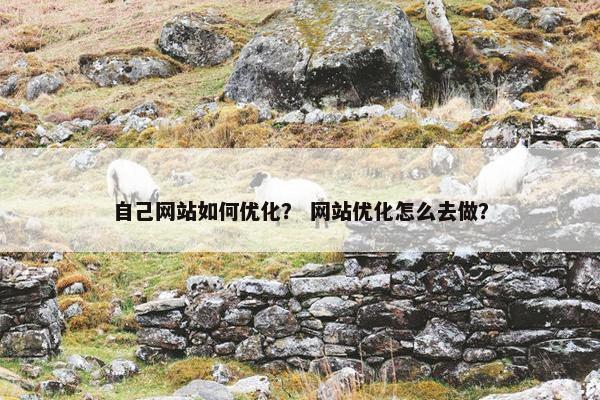 自己网站如何优化？ 网站优化怎么去做？