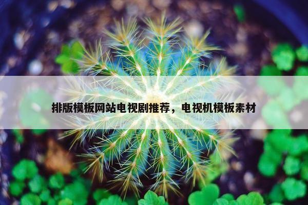 排版模板网站电视剧推荐，电视机模板素材