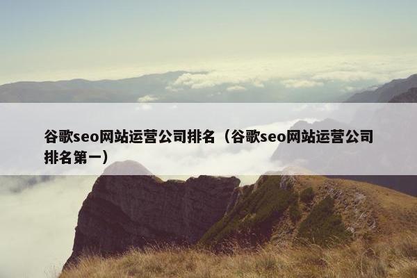 谷歌seo网站运营公司排名（谷歌seo网站运营公司排名第一）