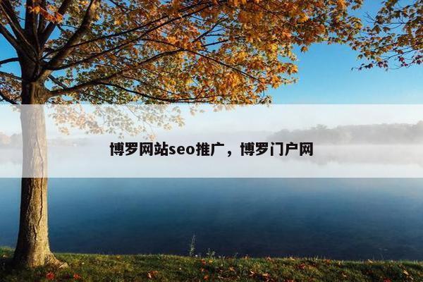 博罗网站seo推广，博罗门户网