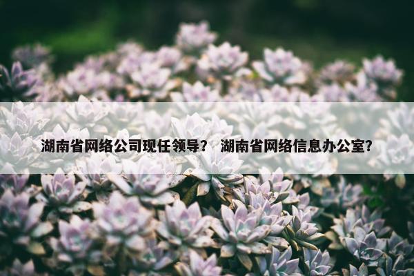 湖南省网络公司现任领导？ 湖南省网络信息办公室？